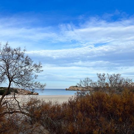 Disfruta Del Paraiso Son Parc Dış mekan fotoğraf